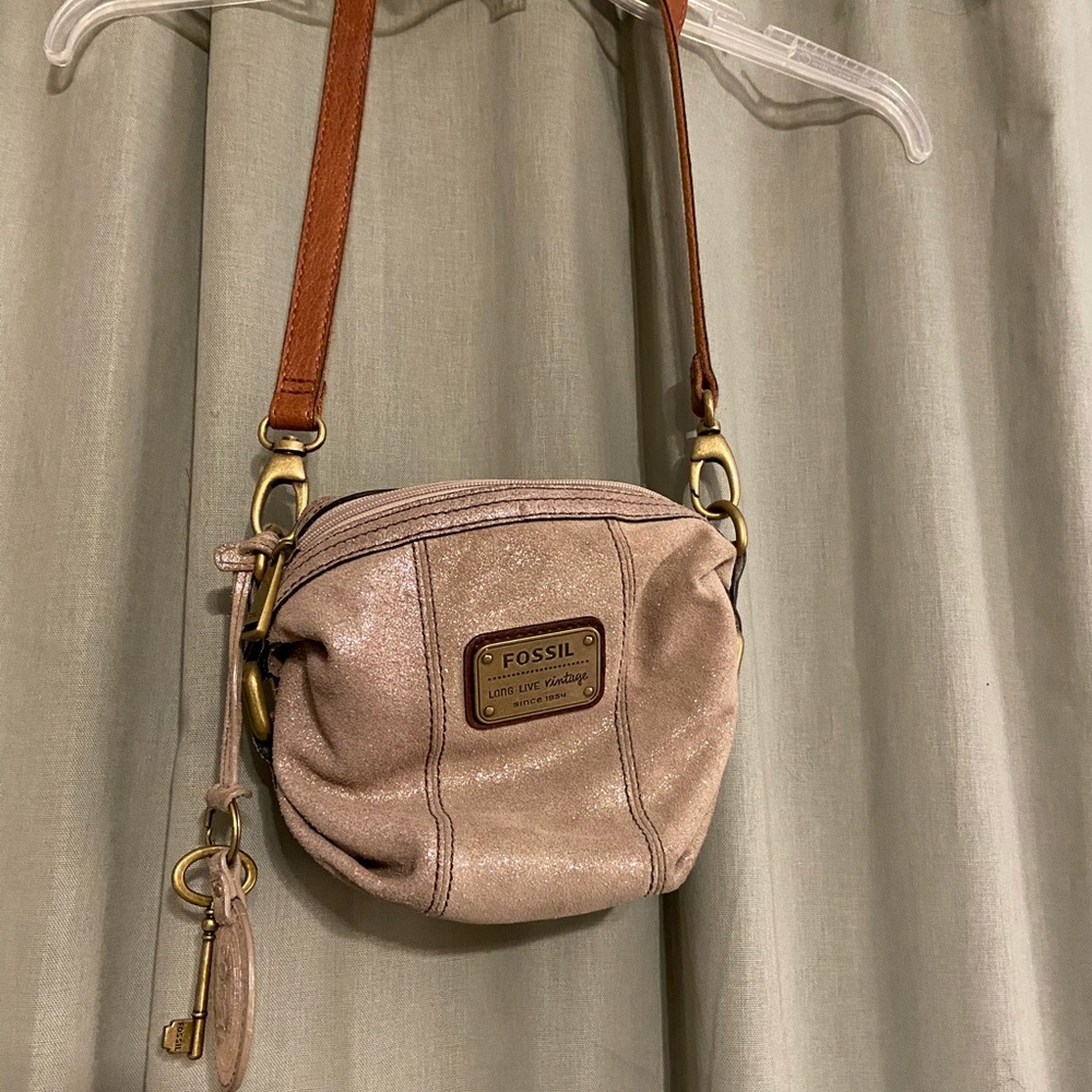 Fossil purse
